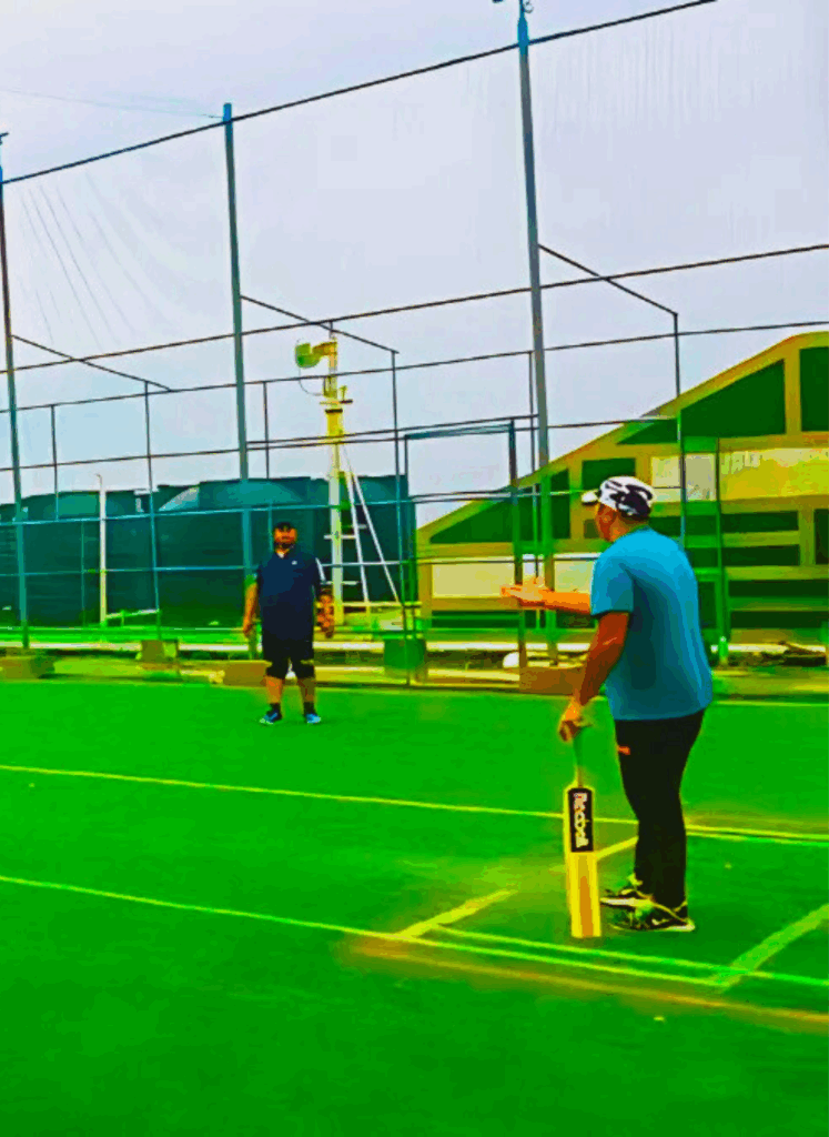 outdoor box cricket court design and nets