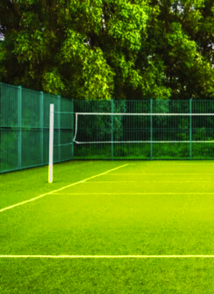 affordable volleyball court design contractors near me