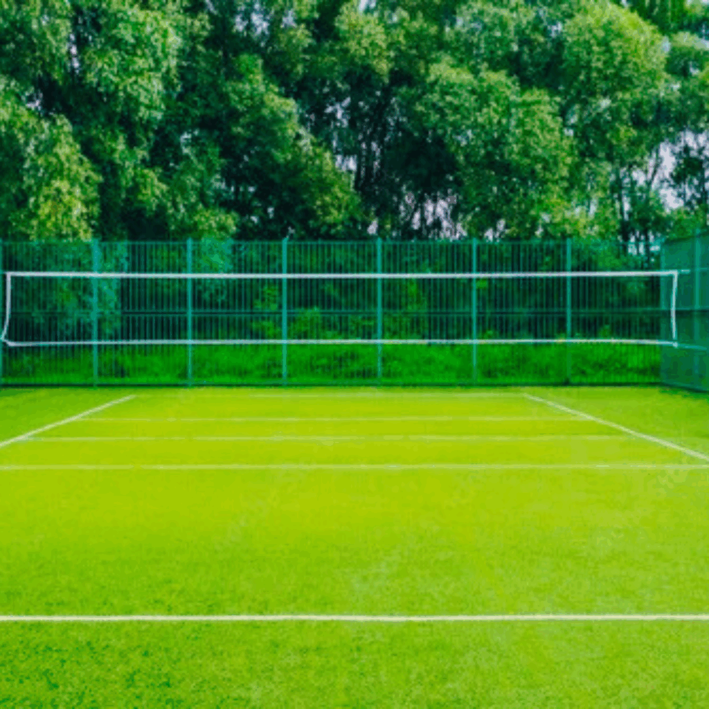 professional volleyball court design and cricket net services